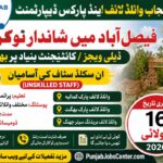 Punjab Wildlife & Parks Department Faisalabad Jobs