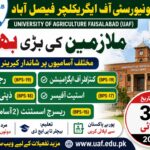 UAF Opens Recruitment for Senior Administrative and Research Positions