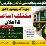 Board of Revenue Lahore Jobs 2026