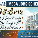 Bin Suleman Estate Lahore Jobs 2026