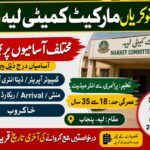 Market Committee Layyah Jobs 2026