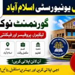 Daanish University Islamabad Faculty Jobs