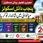 Punjab Daanish Schools Mianwali Jobs