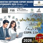 PSEB Internship Program 2026