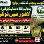 Punjab Wildlife & Parks Department Lahore Jobs 2026 – Contract Career Opportunities for Creative Media Professionals